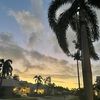 andrea_kocak